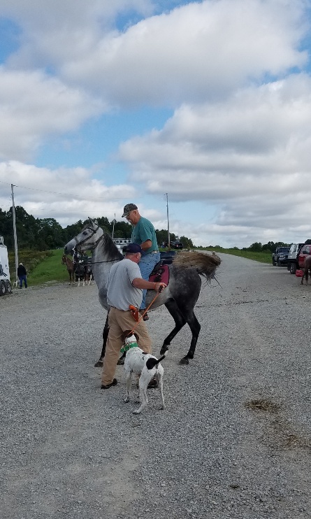 GSPC of Ohio 2018 Fall Horseback Trial