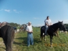 Buckeye GSPC Fall Horseback Trial